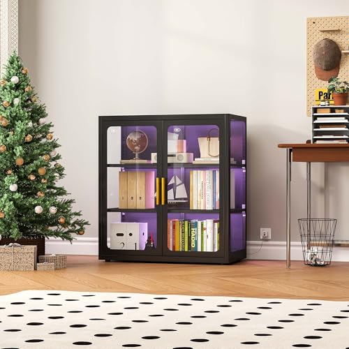 Lighting & Home Decor Studio Photos - Display Cabinet with Glass Doors and