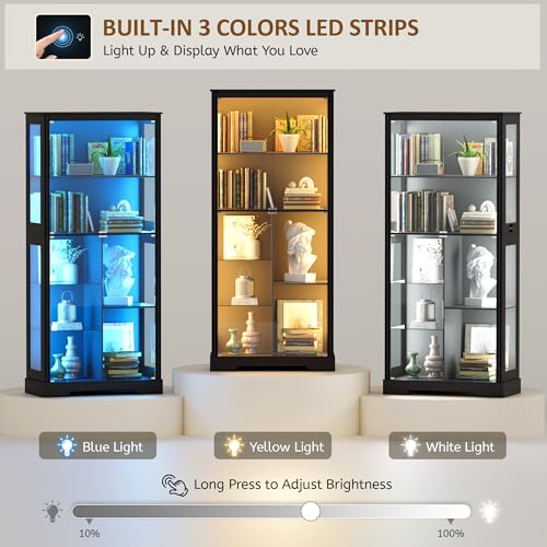 71” Glass Display Cabinet with - Lighting & Home Decor Studio Photos review and price